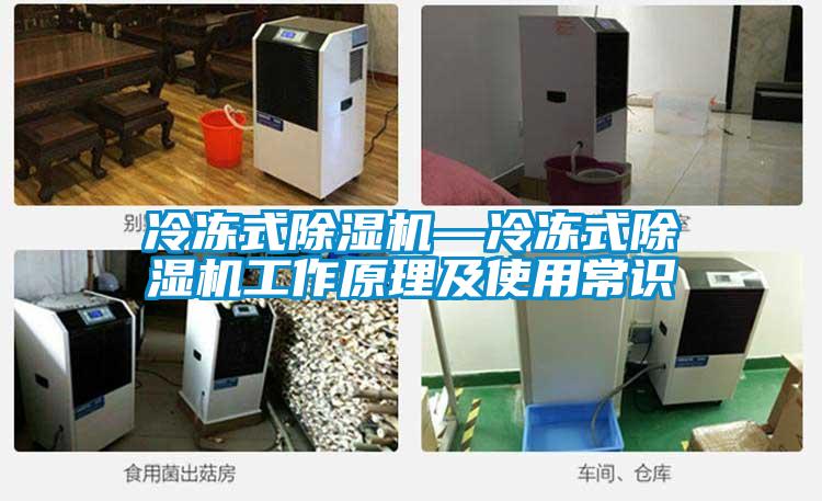 冷冻式除湿机—冷冻式除湿机工作原理及使用常识