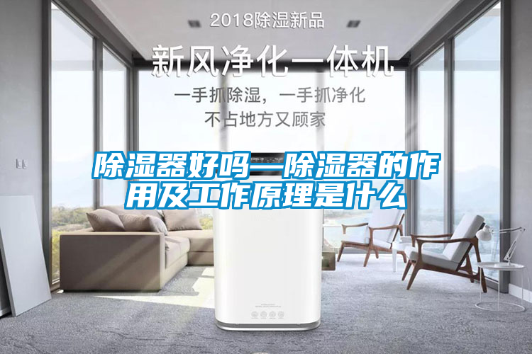 除湿器好吗—除湿器的作用及工作原理是什么