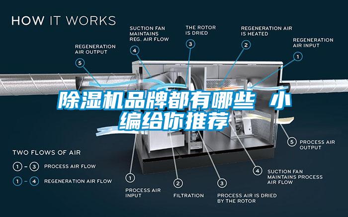 除湿机品牌都有哪些 小编给你推荐