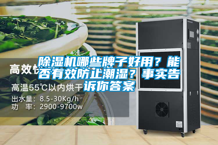除湿机哪些牌子好用？能否有效防止潮湿？事实告诉你答案