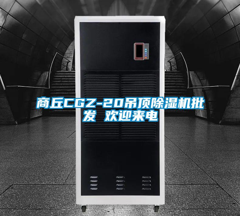 商丘CGZ-20吊顶除湿机批发 欢迎来电