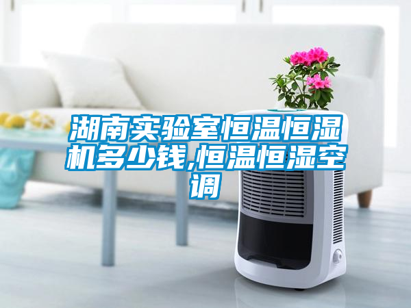 湖南实验室恒温恒湿机多少钱,恒温恒湿空调
