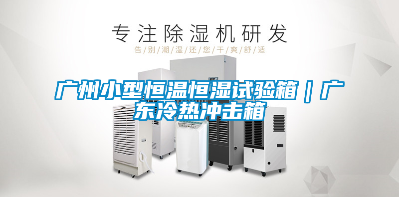 广州小型恒温恒湿试验箱｜广东冷热冲击箱