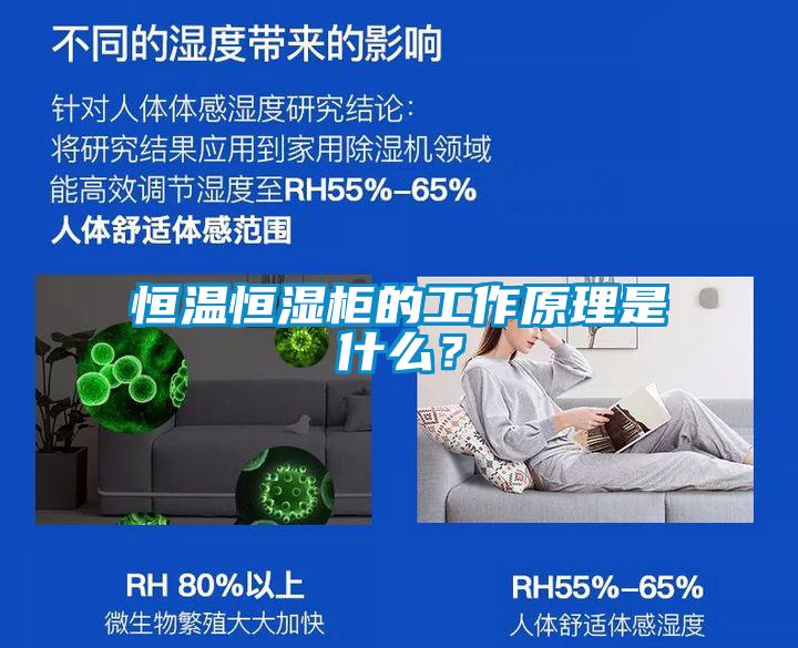 恒温恒湿柜的工作原理是什么？
