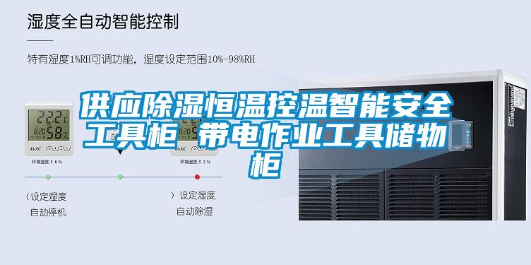 供应除湿恒温控温智能安全工具柜 带电作业工具储物柜