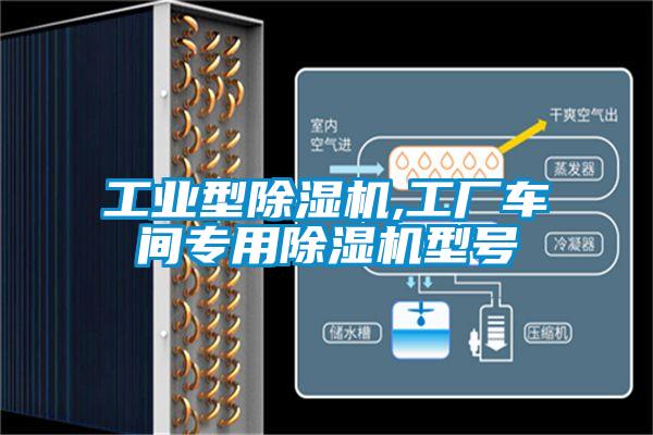 工业型除湿机,工厂车间专用除湿机型号
