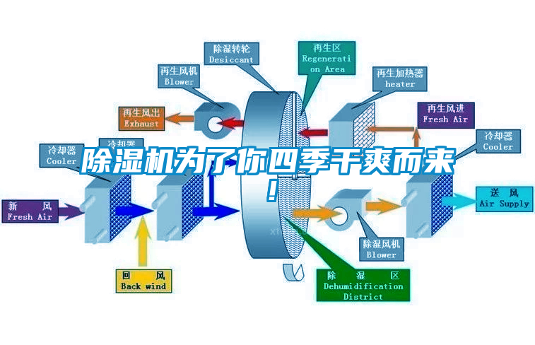 除湿机为了你四季干爽而来！