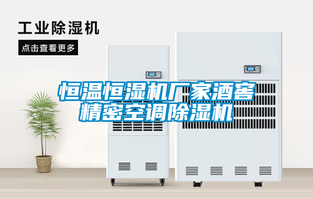 恒温恒湿机厂家酒窖精密空调除湿机