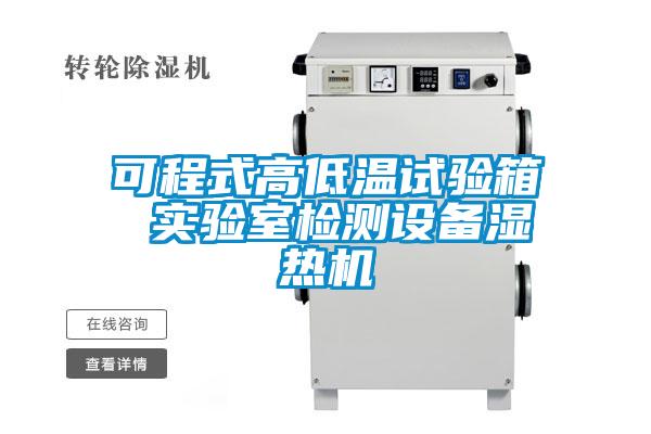 可程式高低温试验箱 实验室检测设备湿热机