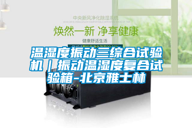 温湿度振动三综合试验机｜振动温湿度复合试验箱-北京雅士林