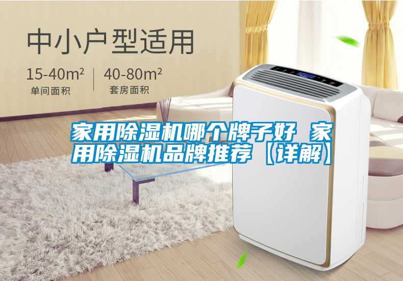 家用除湿机哪个牌子好 家用除湿机品牌推荐【详解】