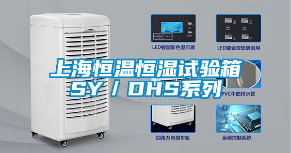 上海恒温恒湿试验箱SY／DHS系列