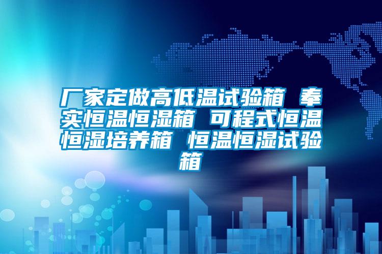 厂家定做高低温试验箱 奉实恒温恒湿箱 可程式恒温恒湿培养箱 恒温恒湿试验箱