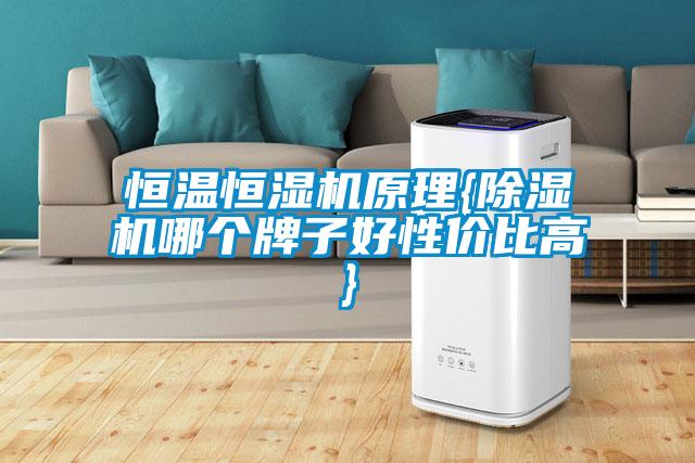 恒温恒湿机原理{除湿机哪个牌子好性价比高}