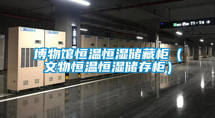 博物馆恒温恒湿储藏柜（文物恒温恒湿储存柜）