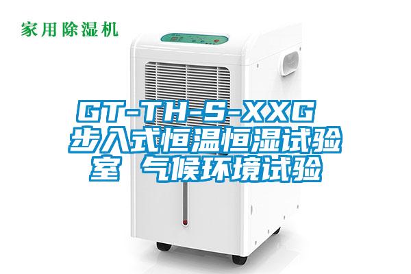 GT-TH-S-XXG 步入式恒温恒湿试验室 气候环境试验