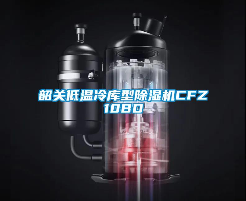 韶关低温冷库型除湿机CFZ10BD