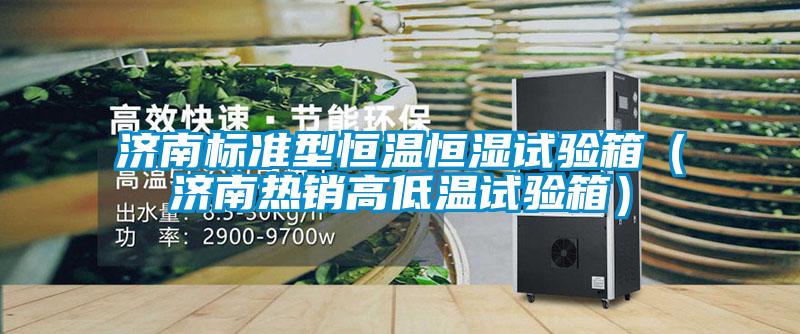 济南标准型恒温恒湿试验箱（济南热销高低温试验箱）