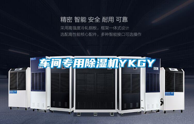 车间专用除湿机YKGY