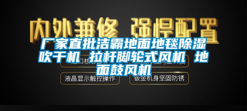 厂家直批洁霸地面地毯除湿吹干机 拉杆脚轮式风机 地面鼓风机