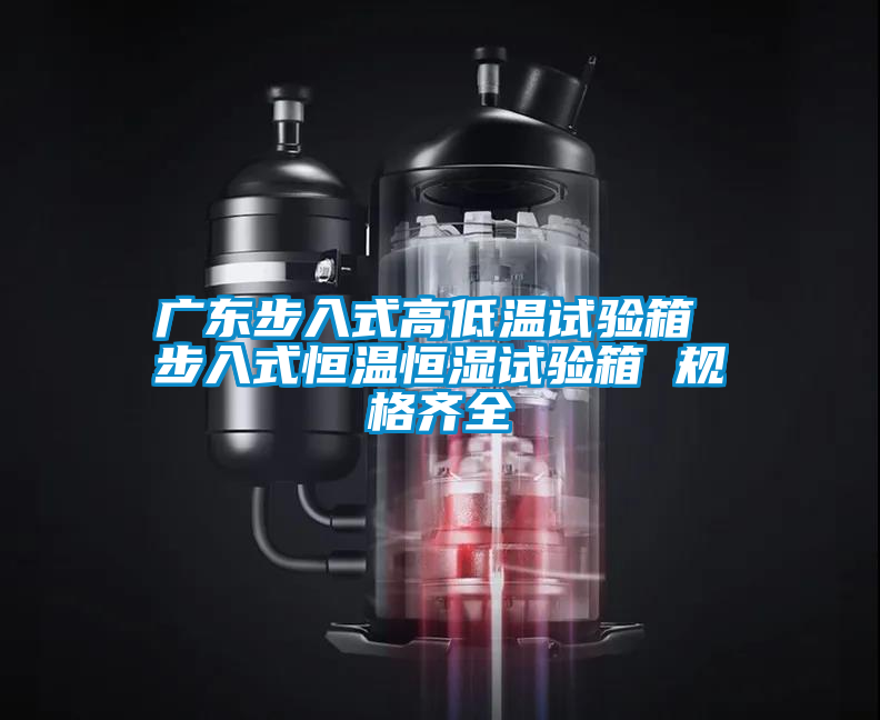 广东步入式高低温试验箱 步入式恒温恒湿试验箱 规格齐全