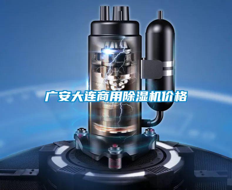 广安大连商用除湿机价格