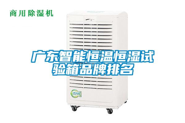 广东智能恒温恒湿试验箱品牌排名