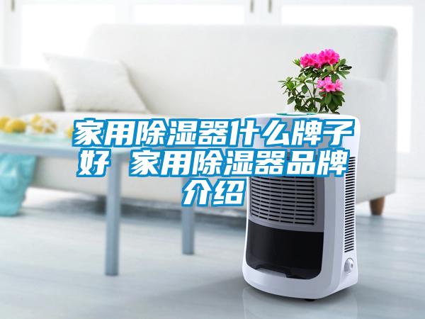 家用除湿器什么牌子好 家用除湿器品牌介绍