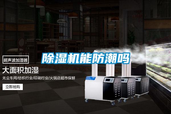 除湿机能防潮吗