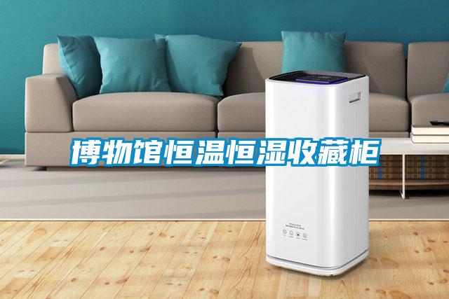 博物馆恒温恒湿收藏柜