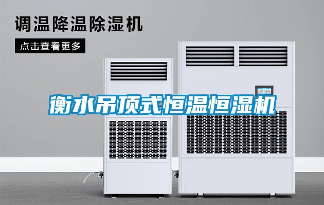 衡水吊顶式恒温恒湿机