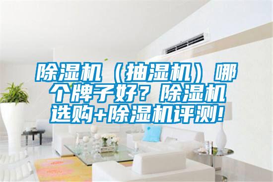 除湿机（抽湿机）哪个牌子好？除湿机选购+除湿机评测!