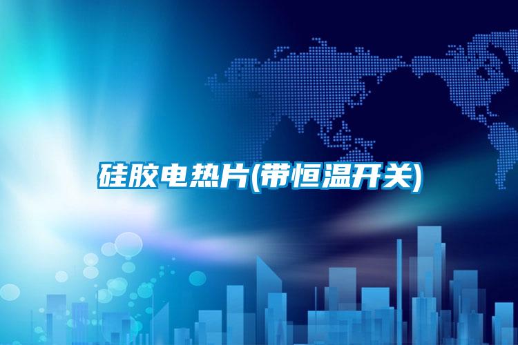 硅胶电热片(带恒温开关)