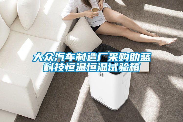 大众汽车制造厂采购助蓝科技恒温恒湿试验箱
