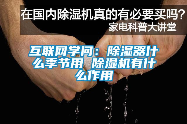 互联网学问：除湿器什么季节用 除湿机有什么作用