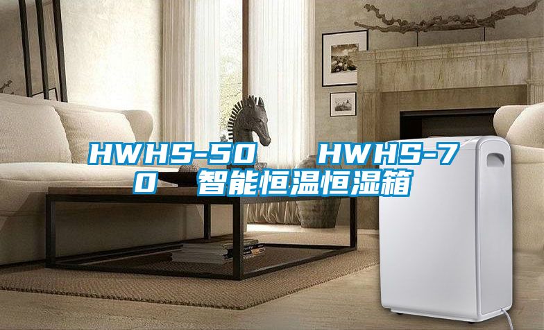 HWHS-50   HWHS-70  智能恒温恒湿箱