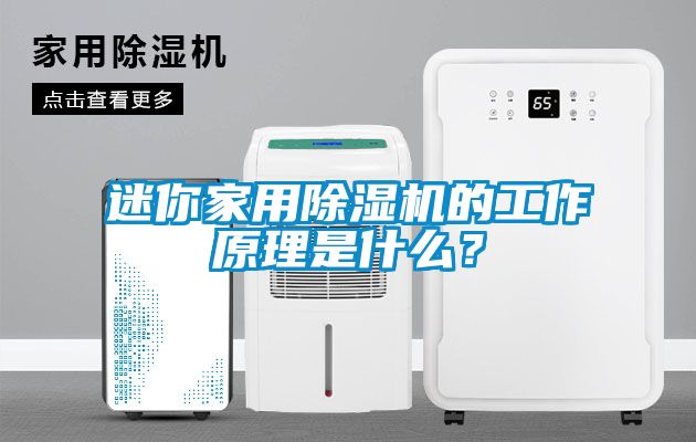 迷你家用除湿机的工作原理是什么？