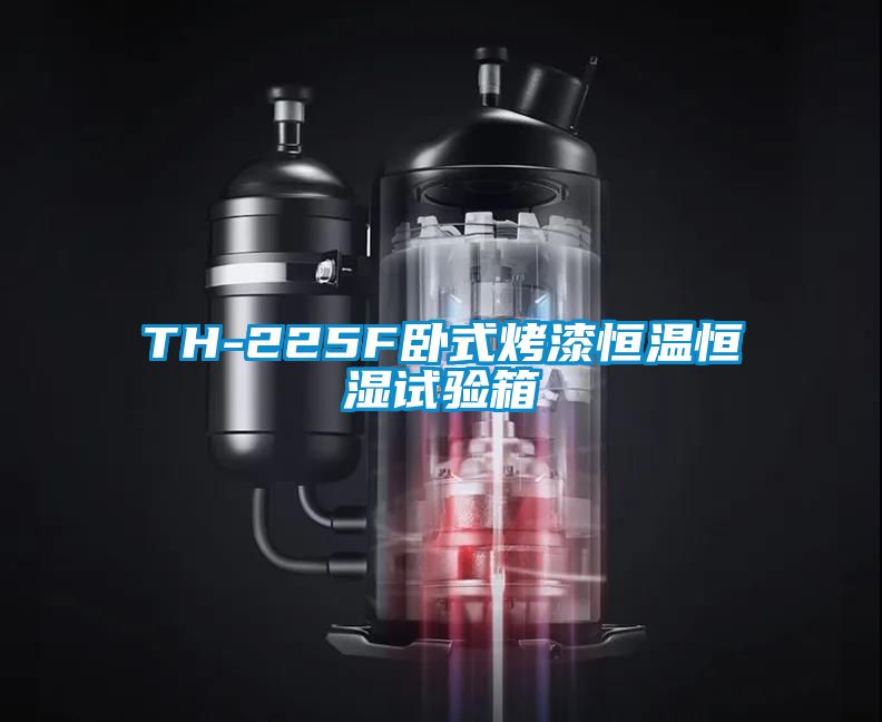 TH-225F卧式烤漆恒温恒湿试验箱