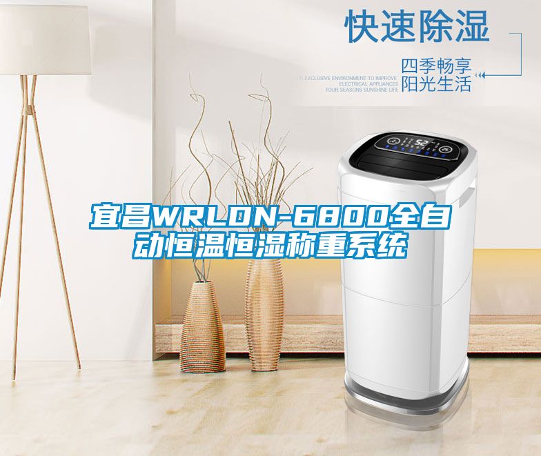 宜昌WRLDN-6800全自动恒温恒湿称重系统