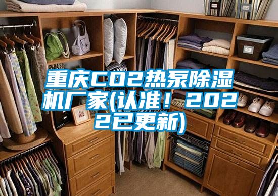 重庆CO2热泵除湿机厂家(认准！2022已更新)