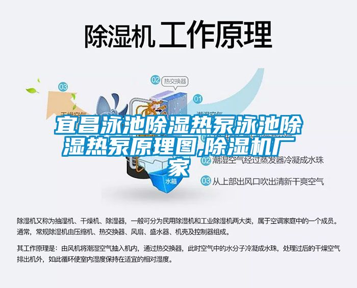 宜昌泳池除湿热泵泳池除湿热泵原理图,除湿机厂家