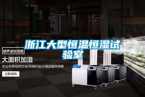 浙江大型恒温恒湿试验室