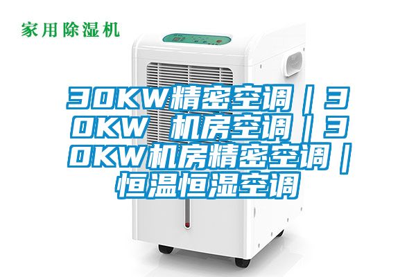 30KW精密空调｜30KW 机房空调｜30KW机房精密空调｜恒温恒湿空调