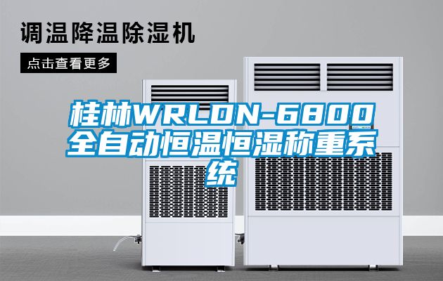 桂林WRLDN-6800全自动恒温恒湿称重系统