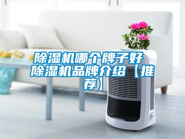 除湿机哪个牌子好 除湿机品牌介绍【推荐】