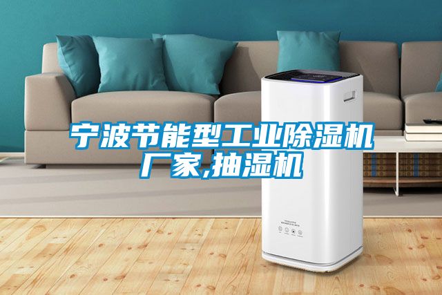 宁波节能型工业除湿机厂家,抽湿机