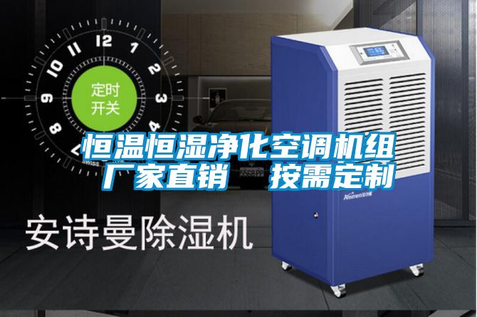恒温恒湿净化空调机组 厂家直销  按需定制