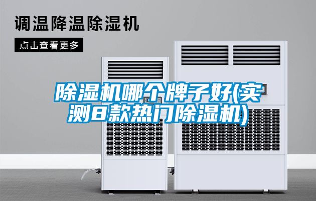 除湿机哪个牌子好(实测8款热门除湿机)