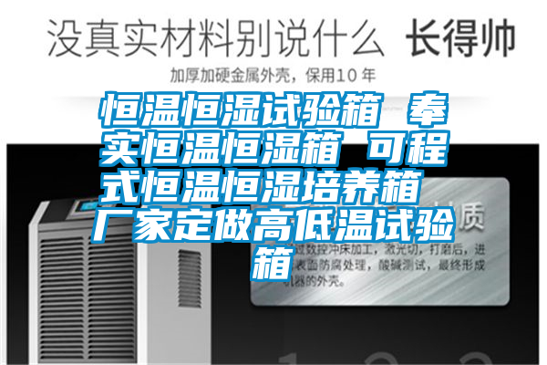 恒温恒湿试验箱 奉实恒温恒湿箱 可程式恒温恒湿培养箱 厂家定做高低温试验箱