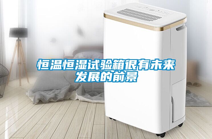 恒温恒湿试验箱很有未来发展的前景